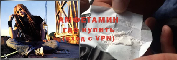 твердый Дмитровск