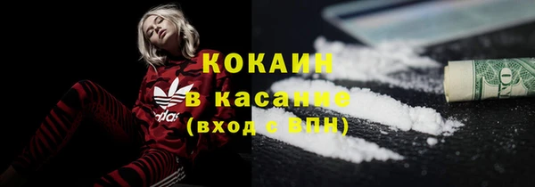 твердый Дмитровск