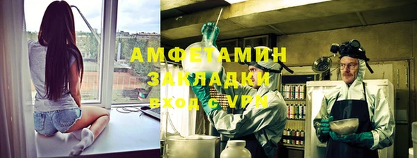 твердый Дмитровск