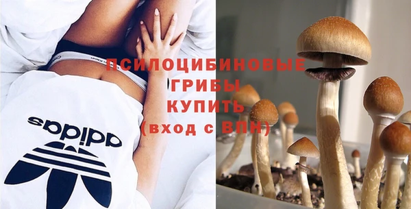 каннабис Дмитров