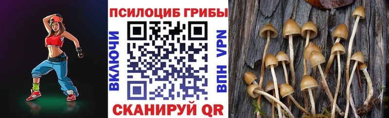 где найти наркотики  Заволжье  Галлюциногенные грибы GOLDEN TEACHER 